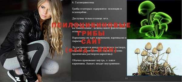тгк Бородино