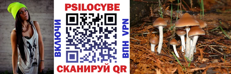 Псилоцибиновые грибы Psilocybine cubensis  Новоржев 
